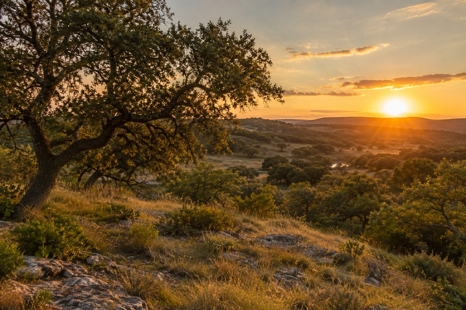 A Texas Hill Country landscape at golden hour